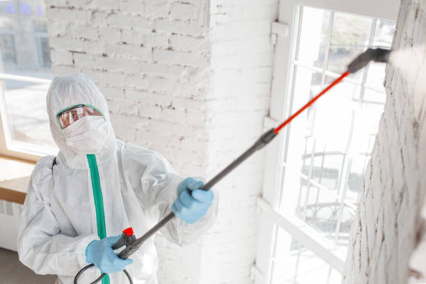 Mold Documentation for Insurance Claims in Aitkin, MN
