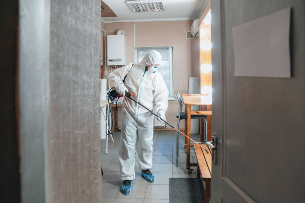 Best Asbestos and Lead Testing During Mold Inspection  in Aitkin, MN