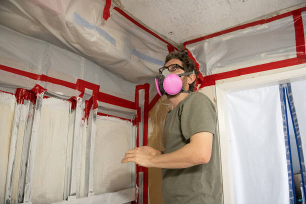 Best Mold Removal for HVAC Installations  in Aitkin, MN