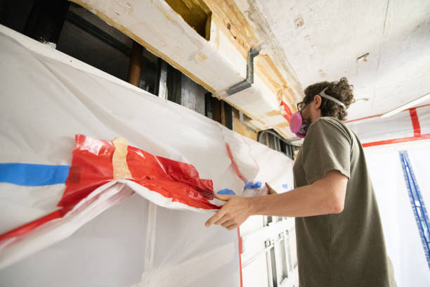Best Post-Construction Mold Inspection  in Aitkin, MN