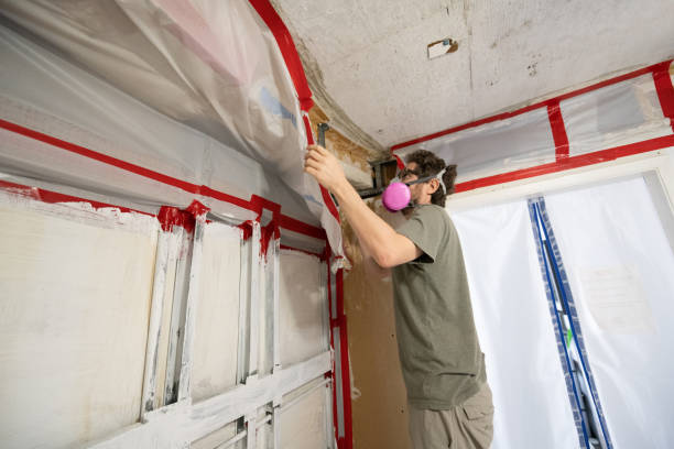 Best Post-Remediation Verification Testing  in Aitkin, MN