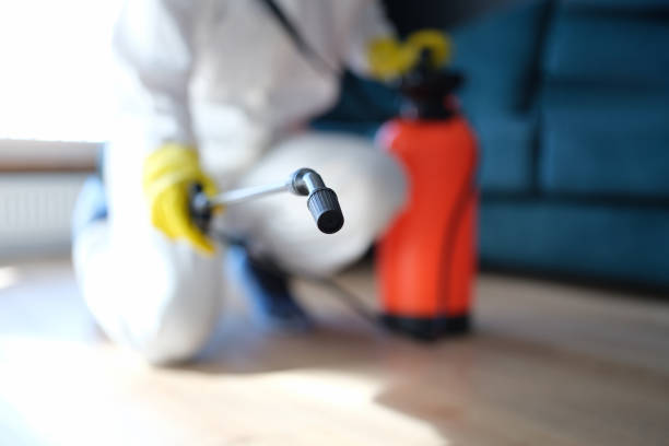 Aitkin, MN Mold Removal Company