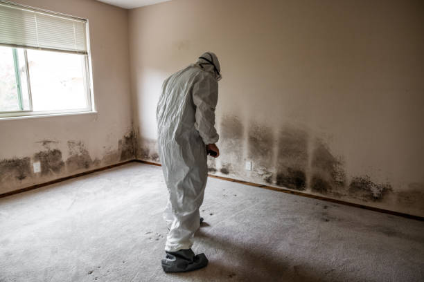 Best HVAC Mold Inspection and Cleaning  in Aitkin, MN